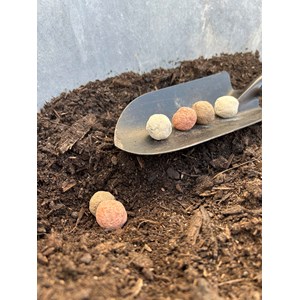 Coffret de bombes à fleurs