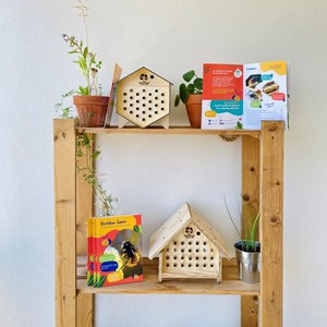 Revue pédagogique des pollinisateurs