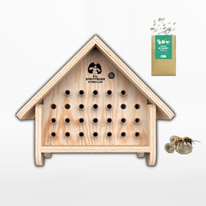 Abri abeilles sauvages + cocons + suivi