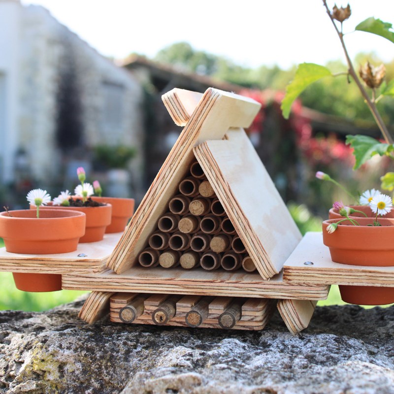 Abri abeilles sauvages + cocons + suivi