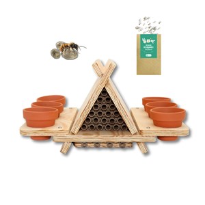 Abri abeilles sauvages + cocons + suivi