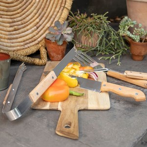 Set de 4 accessoires pour barbecue