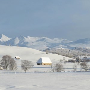 E-carte cadeau greengo 50€