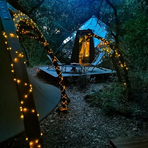 E-carte cadeau greengo 100€