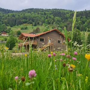 E-carte cadeau greengo 100€