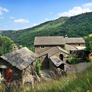 E-carte cadeau greengo 150€