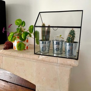 Serre metal et verre + 3 pots zinc