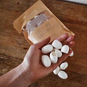 Cocons de soie
