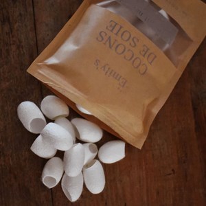 Cocons de soie
