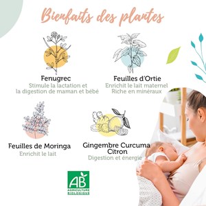 Tisane bio allaitement - 100g
