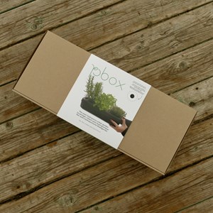 Kit potager-roquette,coriandre,basilic