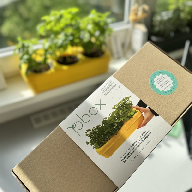 The Urban Permaculture - Kit potager-roquette,coriandre,basilic