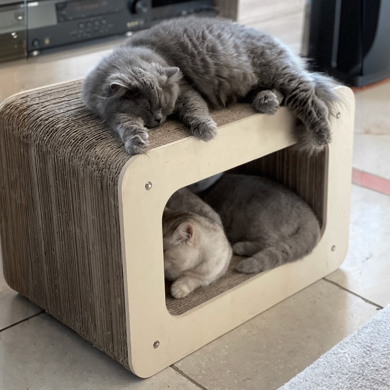 Homycat - Griffoir cadre - format xl