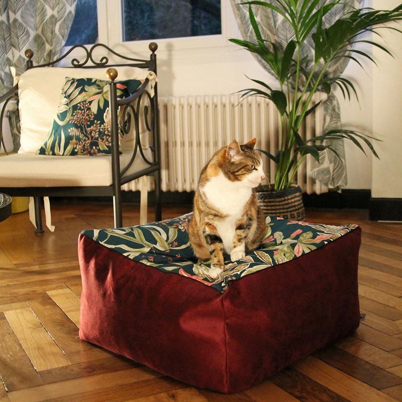 Homycat - Cube taille s - emeraude fleuri bordeaux