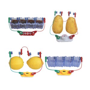 Kit pile citron equascience