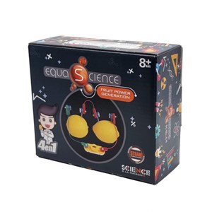 Kit pile citron equascience