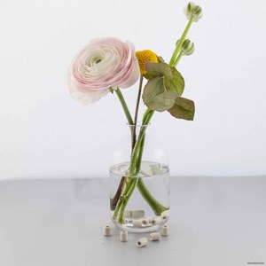 15 perles de céramique em pour vase.