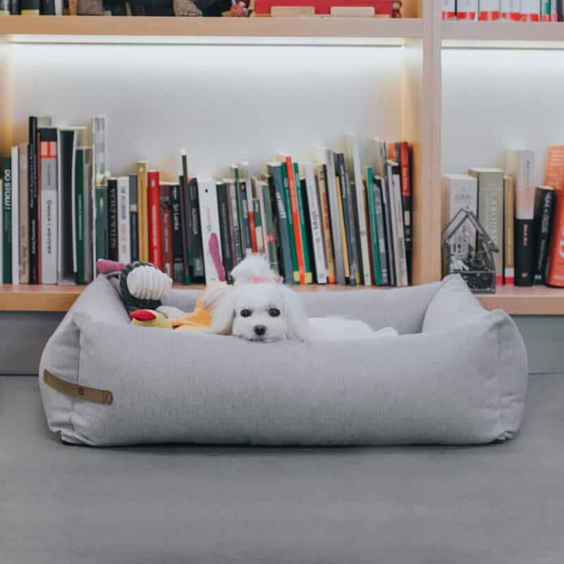 Boule de Poils - Panier pour chien gris taille s
