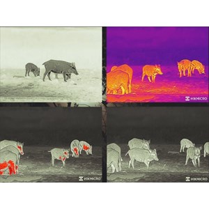 Monoculaire thermique hikmicro falcon fq35