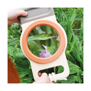 Loupe xxl en bois x 3