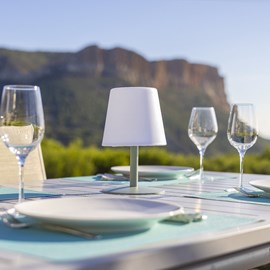 Lampe de table sans fil led vert standy mini