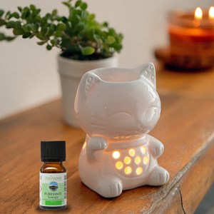 Brûle parfum série céramy - tommy