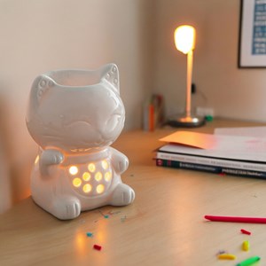 Brûle parfum série céramy - tommy