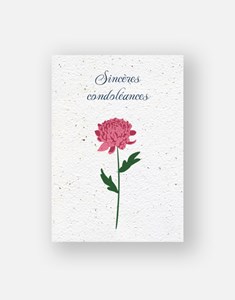 Carte à planter -  sincères condoléances