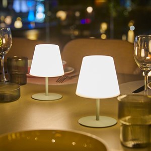 Lot de 2 lampes de table sans fil vert twins