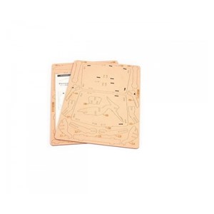 Maquette en bois 3d pterosaure