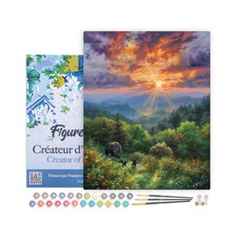 Peinture par numéro ours et coucher de .
