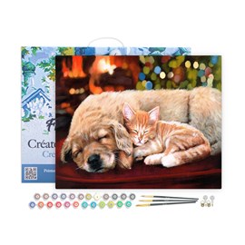 Peinture par numéro sieste entre amis