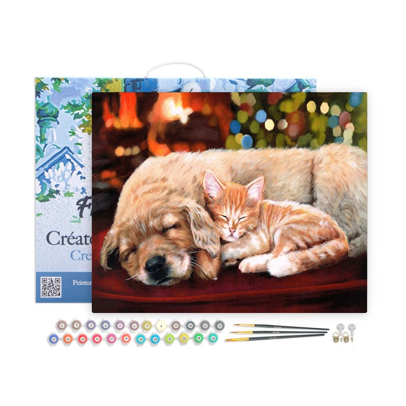 Peinture par numéro sieste entre amis