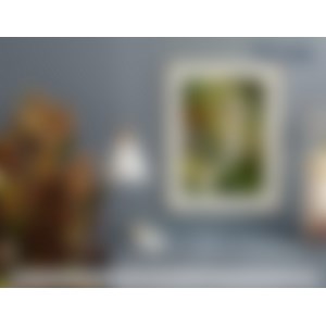 Peinture par numéro féé dorée