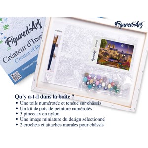 Peinture par numéro notre-dame etoilée