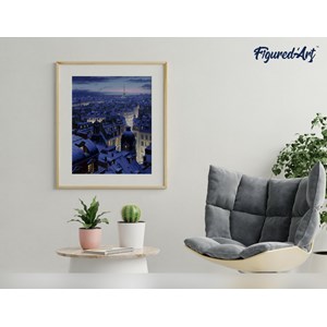 Peinture par numéro toits de paris