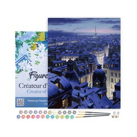 Peinture par numéro toits de paris