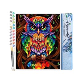 Peinture par numéro hibou coloré