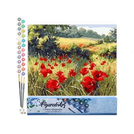 Peinture par numéro coquelicots .