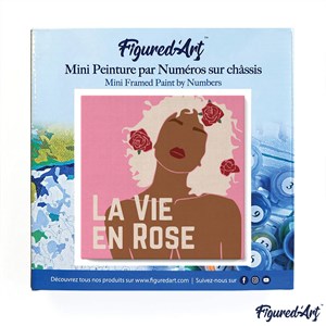 Mini peinture par numéro la vie en rose