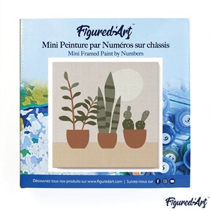 Mini peinture par numéro plantes grasses