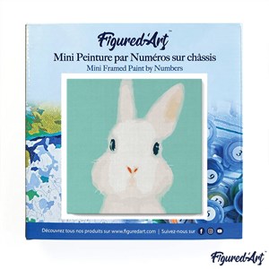 Mini peinture par numéro lapin blanc
