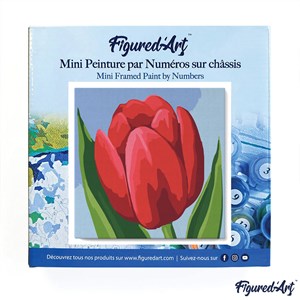Mini peinture par numéro tulipe rouge