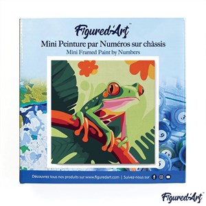 Mini peinture par numéro rainette .