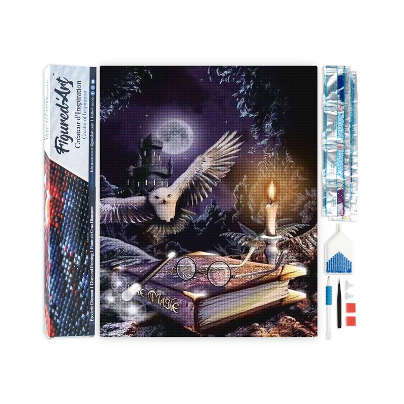 Diamond painting chouette dans la nuit