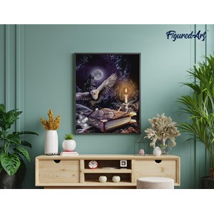 Diamond painting chouette dans la nuit