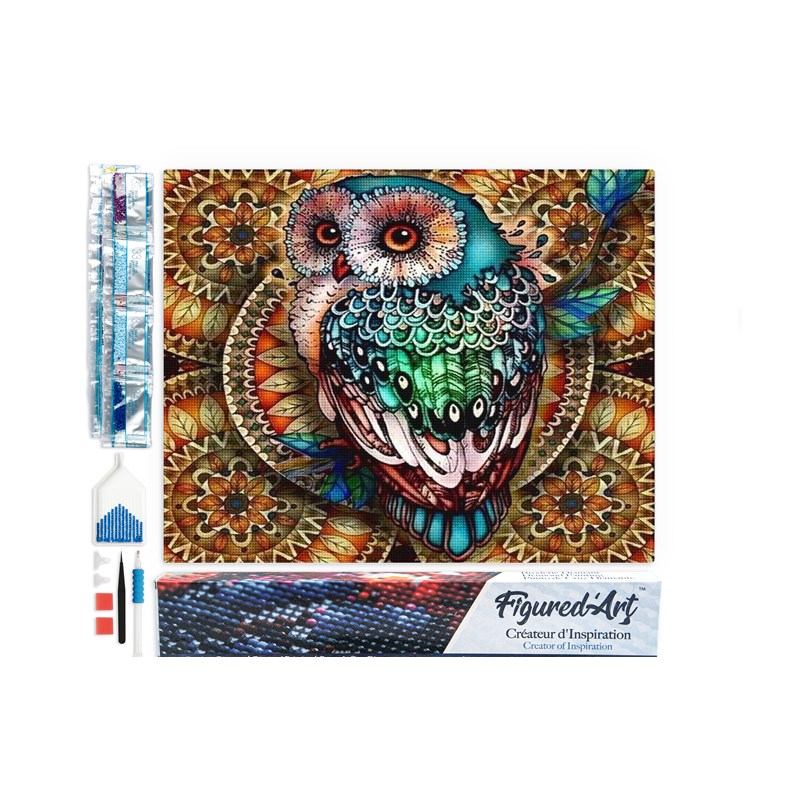Diamond painting chouette précieuse