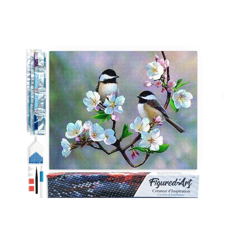 Diamond painting petits oiseaux fleurs.