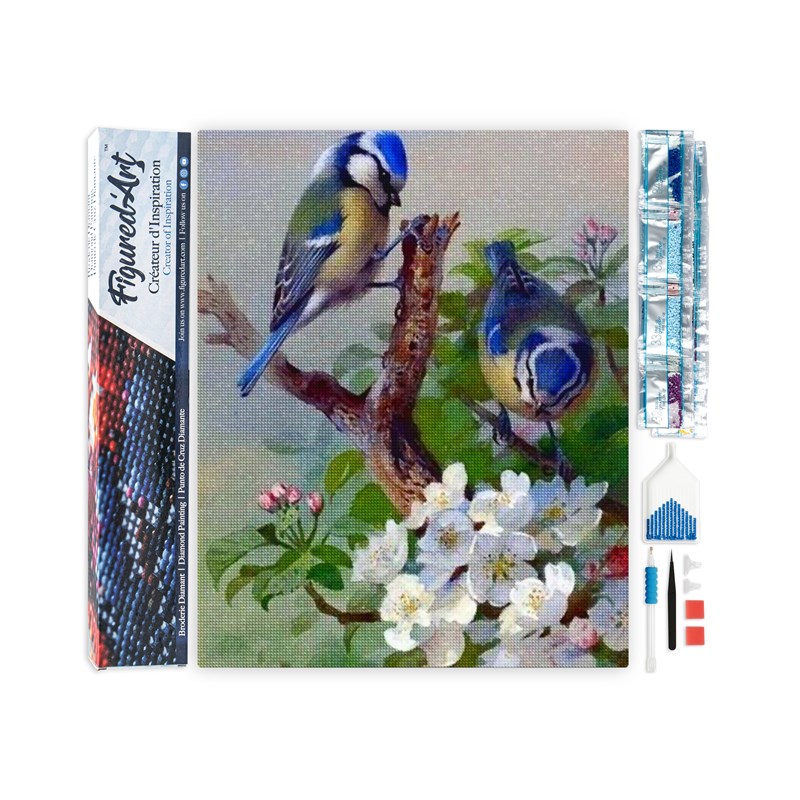 Diamond painting mésanges sur branche