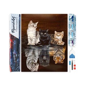 Diamond painting reflets chatons